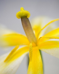 Similar image 7954177