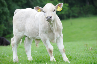 Similar image 7954196