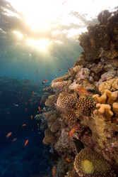 Similar image 7954197