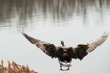 Similar image 7954198