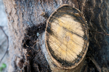 Similar image 7954203