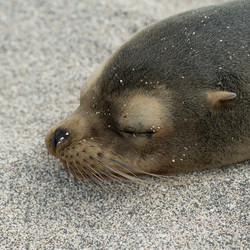 Similar image 7954210