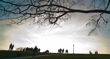 Similar image 7954211