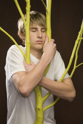 Similar image 7954214