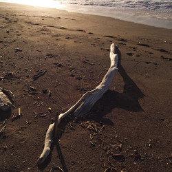 Similar image 7954215