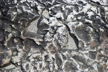 Similar image 7954225