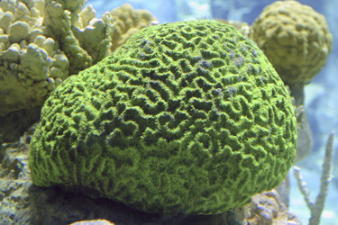 Similar image 7954229