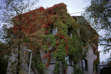 Similar image 7954236