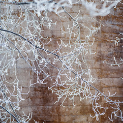 Similar image 7954246