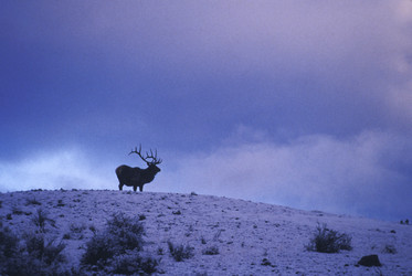 Similar image 7954255