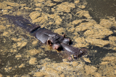 Similar image 7954259