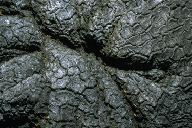 Similar image 7954261