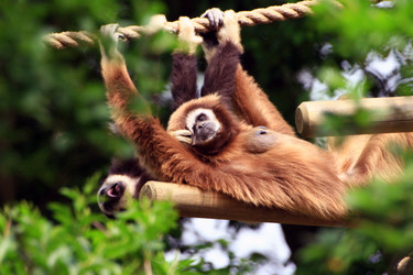 Similar image 7954266