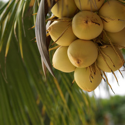 Similar image 7954269