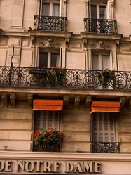 Similar image 7954273