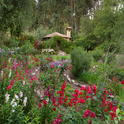 Similar image 7954278