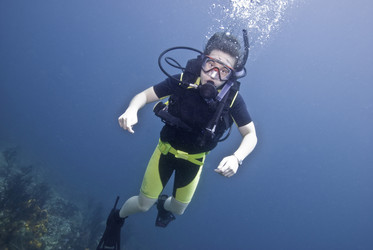 Similar image 7954287