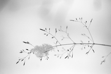 Similar image 7954289