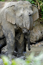 Similar image 7954290