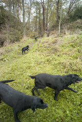 Similar image 7954291