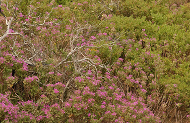 Similar image 7954294