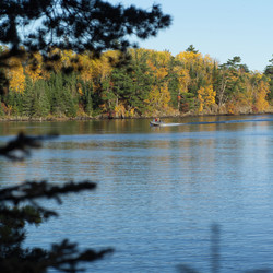 Similar image 7954295