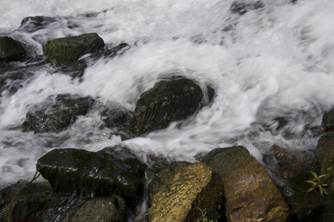 Similar image 7954307