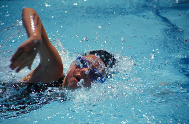 Similar image 7954325