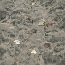 Similar image 7954350