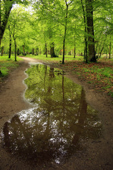 Similar image 7954358