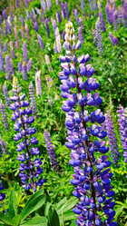 Similar image 7954360