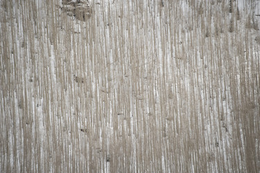 Similar image 7954361