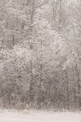 Similar image 7954365