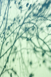 Similar image 7954366