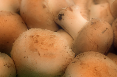 Similar image 7954369