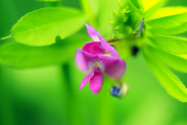 Similar image 7954375