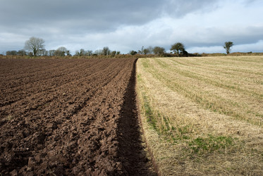 Similar image 7954381