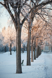 Similar image 7954383