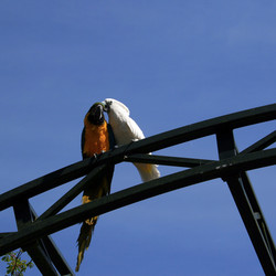 Similar image 7954384