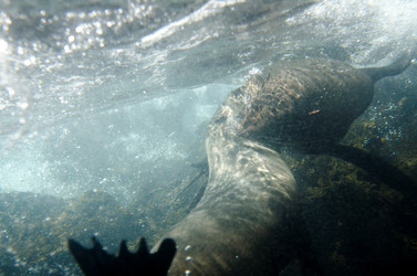 Similar image 7954386