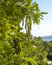 Similar image 7954392