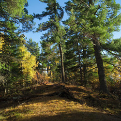 Similar image 7954395