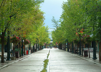 Similar image 7954398