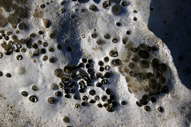 Similar image 7954416