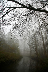 Similar image 7954418