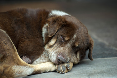 Similar image 7954424