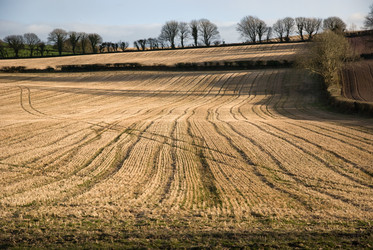 Similar image 7954425