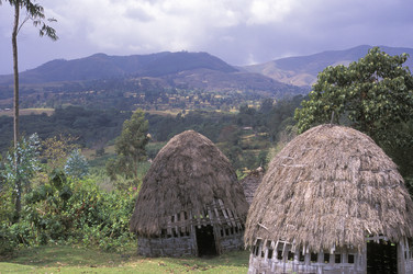 Similar image 7954430