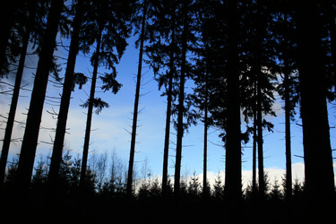 Similar image 7954443