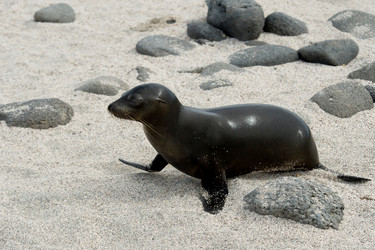 Similar image 7954444